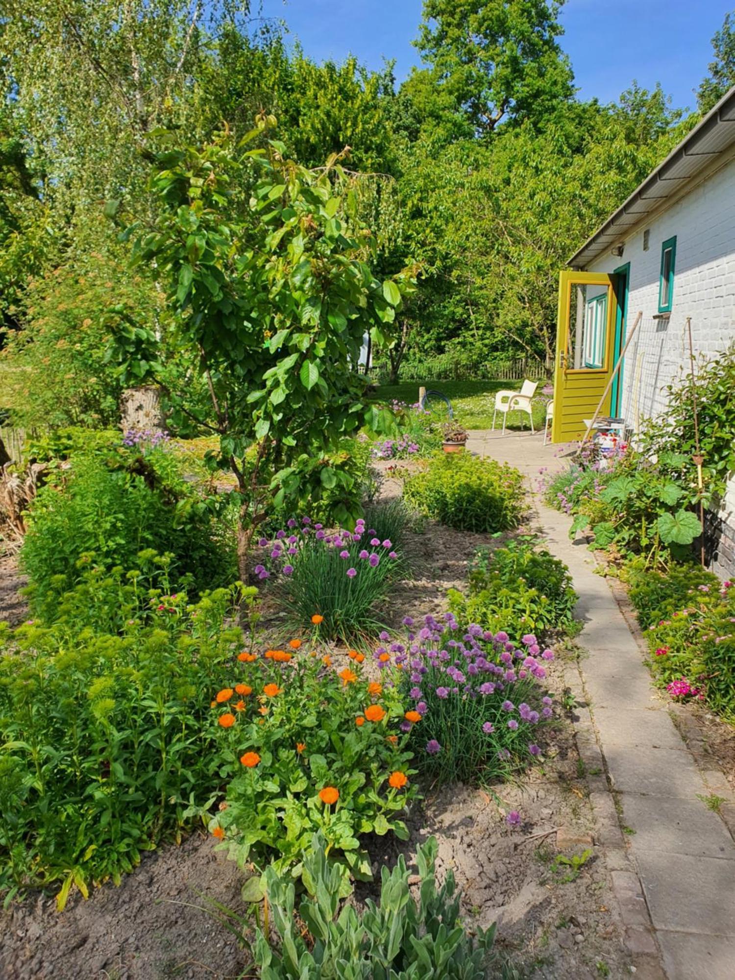 Huisje Fiederels Villa Bant Екстериор снимка