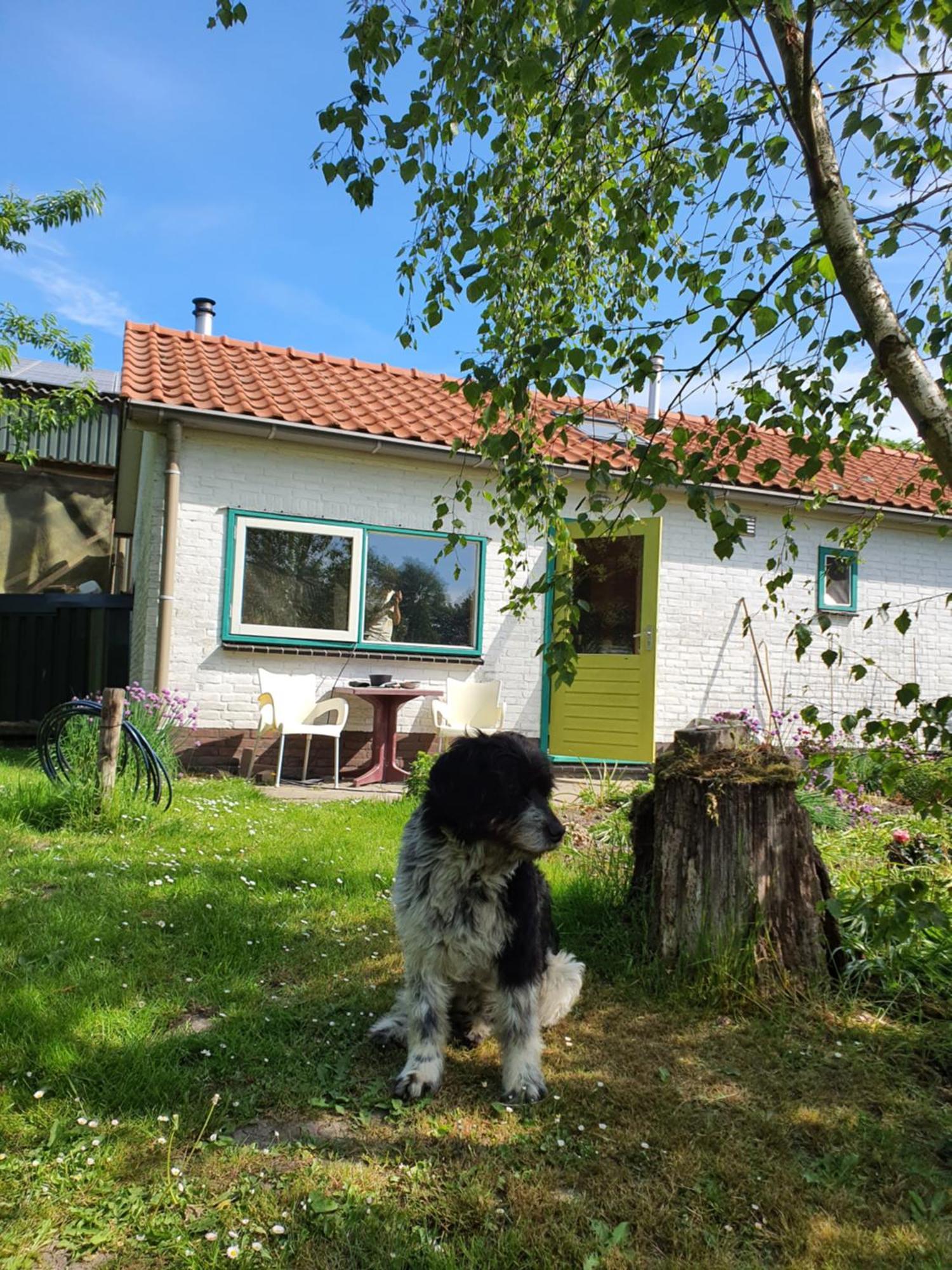 Huisje Fiederels Villa Bant Екстериор снимка